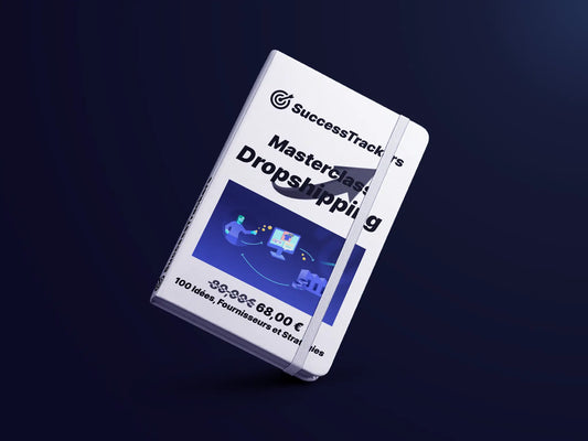 Masterclass Dropshipping : 100 Idées, Fournisseurs et Stratégies